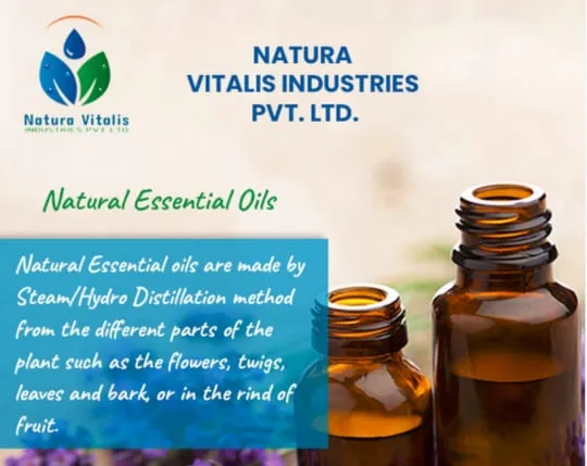  Natura Vitalis 